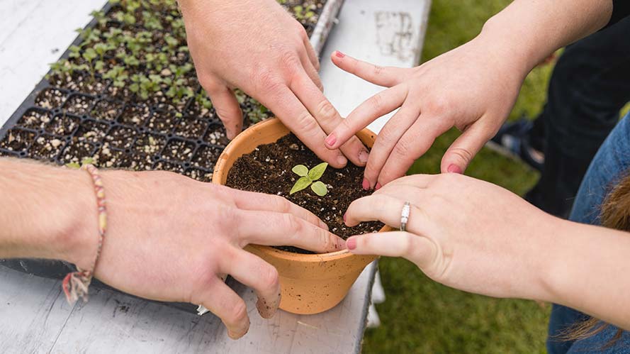 Planting seedlings at earthday